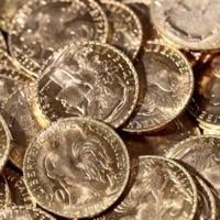 Frenchman discovers gold buried in garden | National Frenchman discovers gold buried in garden | National