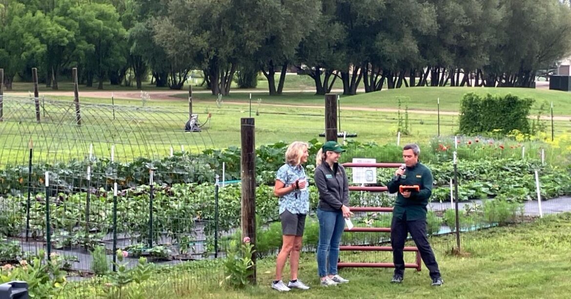 NDSU Master Gardener Program grows garden to benefit Ward County food pantries NDSU Master Gardener Program grows garden to benefit Ward County food pantries