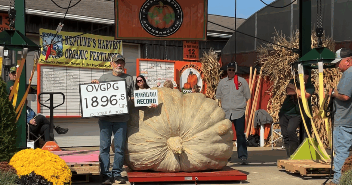 Giant grower reaps Master Gardener glory | News Giant grower reaps Master Gardener glory | News