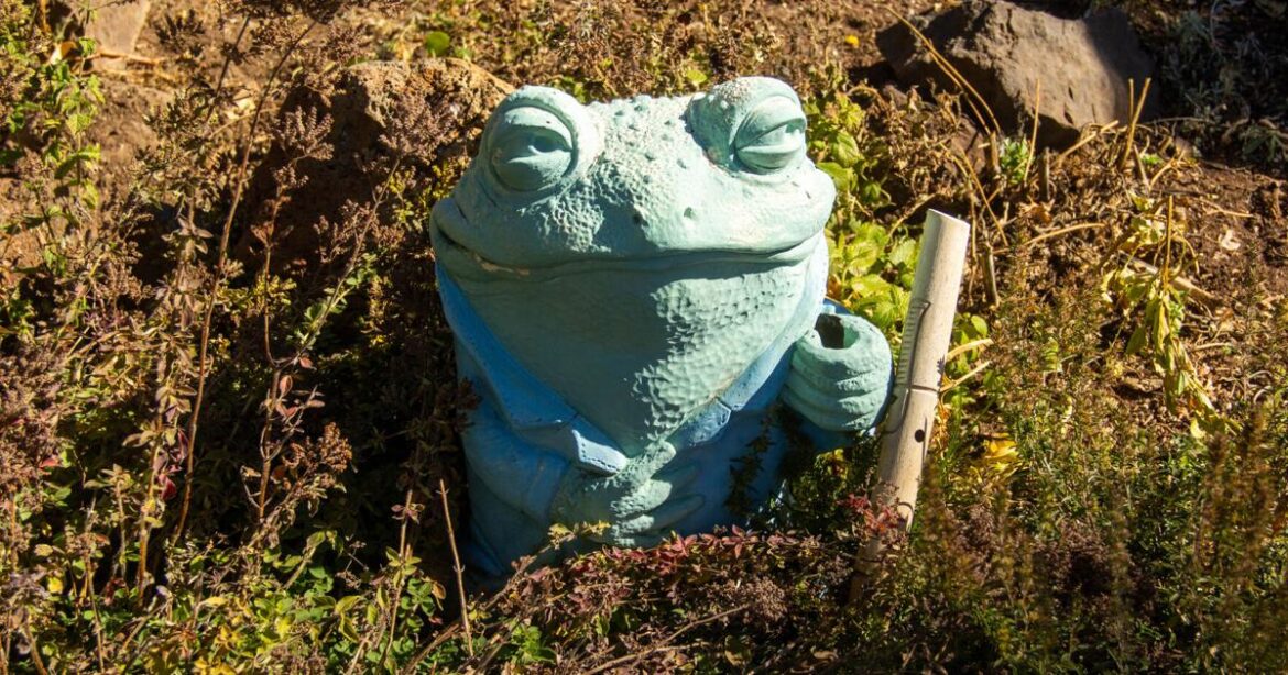 Community gardens plant the seeds of connection in Flagstaff | Lifestyle Community gardens plant the seeds of connection in Flagstaff | Lifestyle