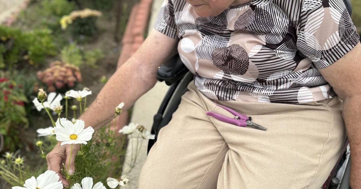 Faith in bloom: Marcia Van’t Land’s garden of grace in Chino | Community News Faith in bloom: Marcia Van’t Land’s garden of grace in Chino | Community News