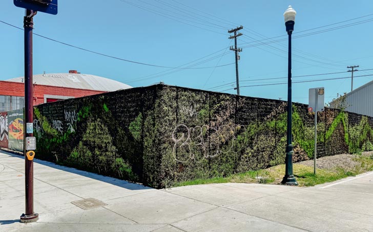 A black fence covered in graffiti gets second life as native plants blossom in its place