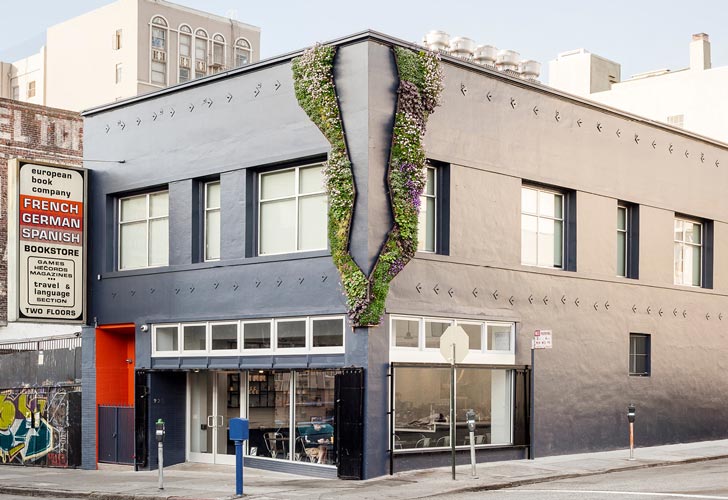 A corner of a building is filled with native plants