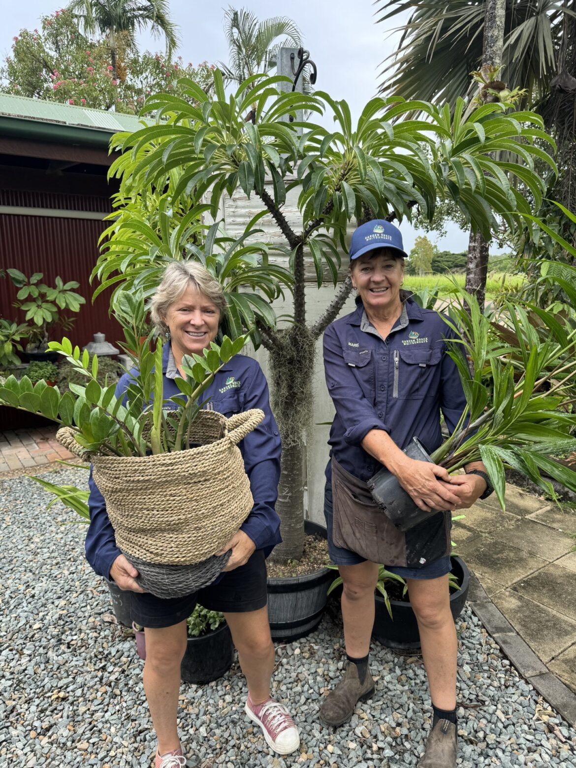 Garden Shack Whitsunday And Down To Earth Whitsunday Both Celebrate Nomination