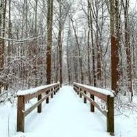 Noble Gardener: Time to chill! A winter respite for busy gardeners | Features Noble Gardener: Time to chill! A winter respite for busy gardeners | Features