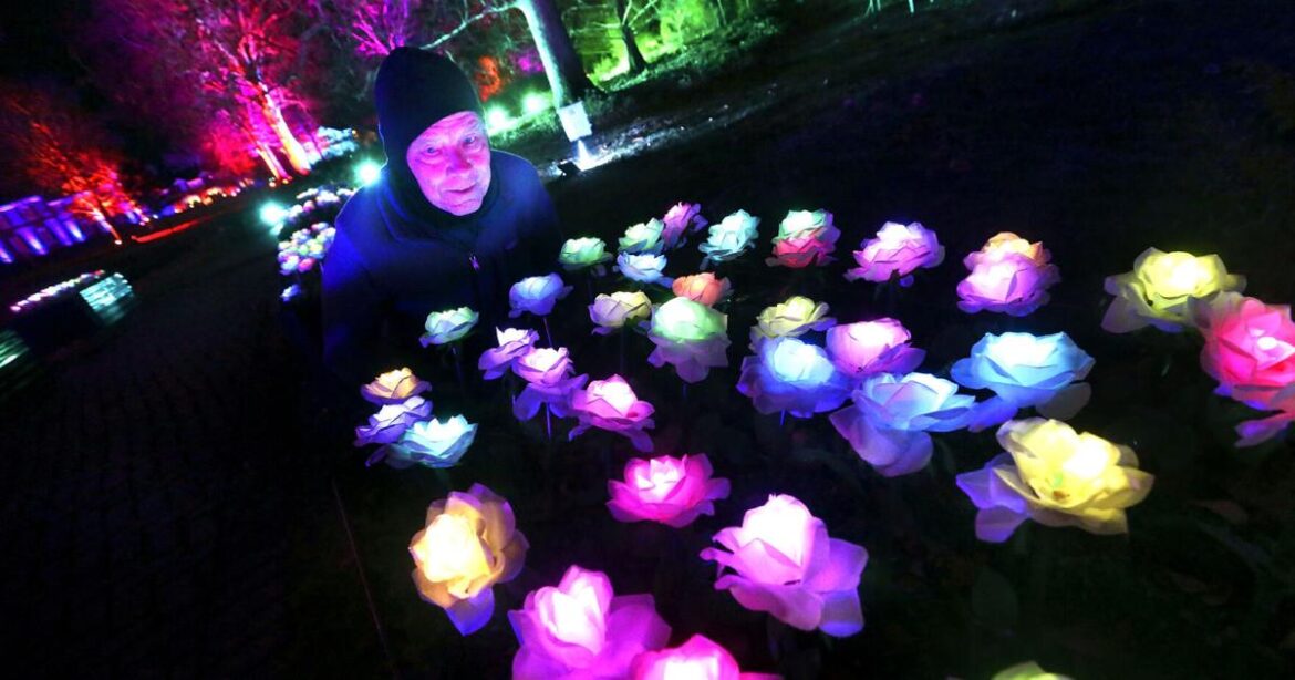 Garden Lights at the MSV | Nvdaily