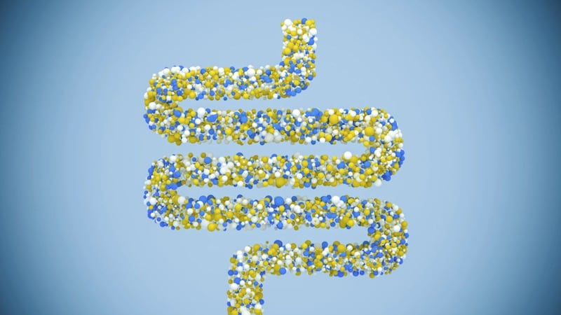 3 fascinating gut health books to help you feel great this autumn