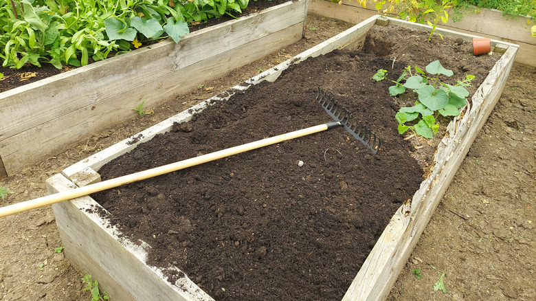 What To Do With Soil From Raised Garden Beds In Winter (Toss Or Keep) House Digest