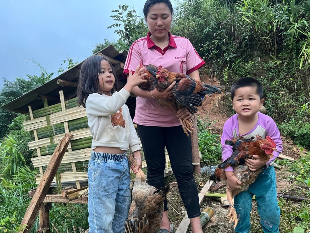 Successfully built the chicken coop and released the chickens into the new coop on the farm.