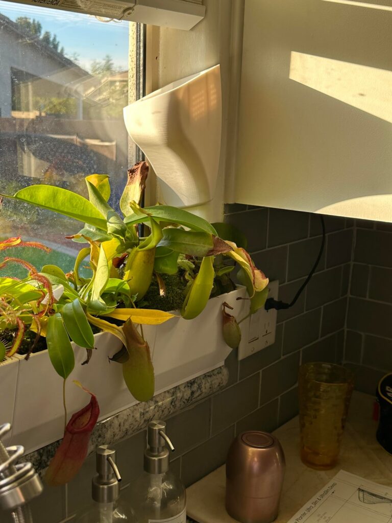 3D printed Windowsill Planter Installed!