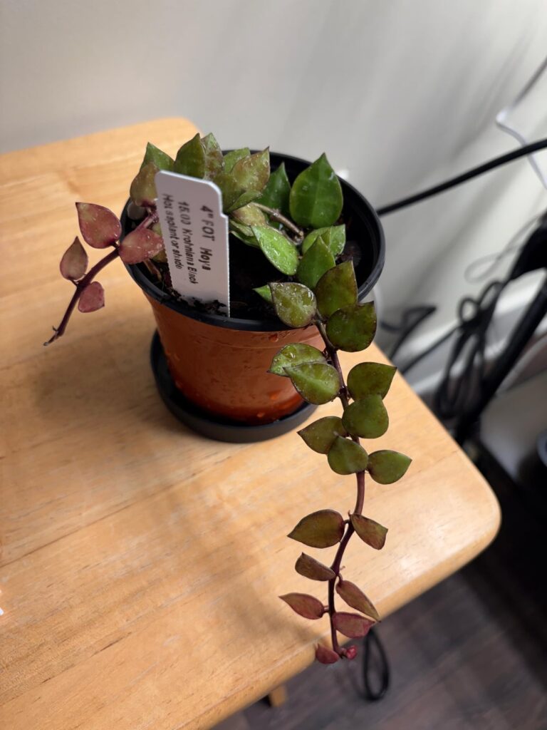 Just got this!! Just got this!!