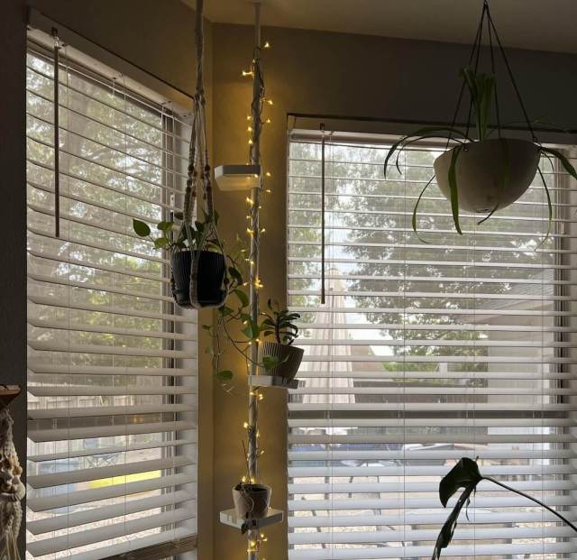 Redditors' share how to upcycle an old shower caddy as a clever way to organize indoor plants.