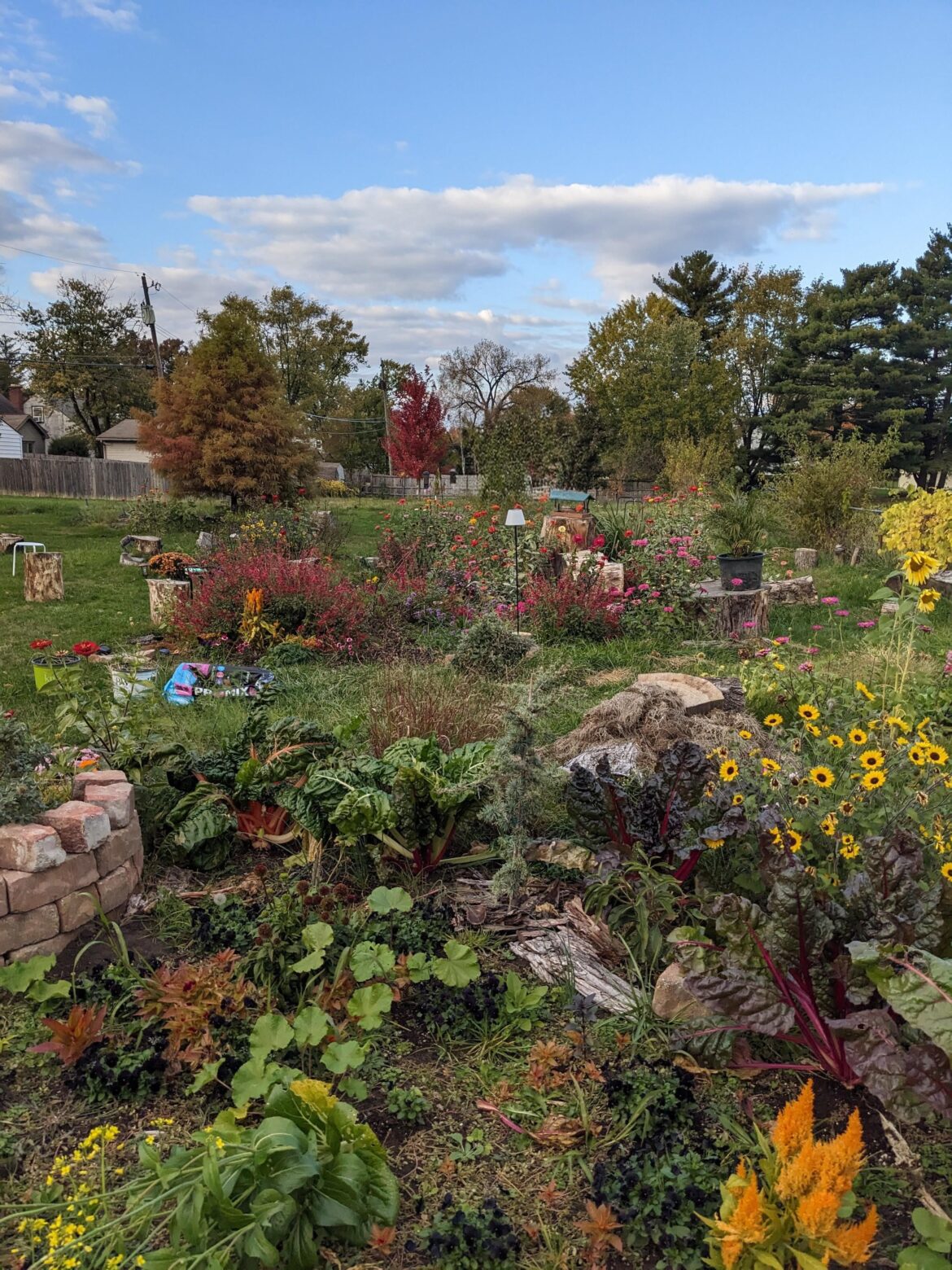 Backyard snap, Ohio 6a