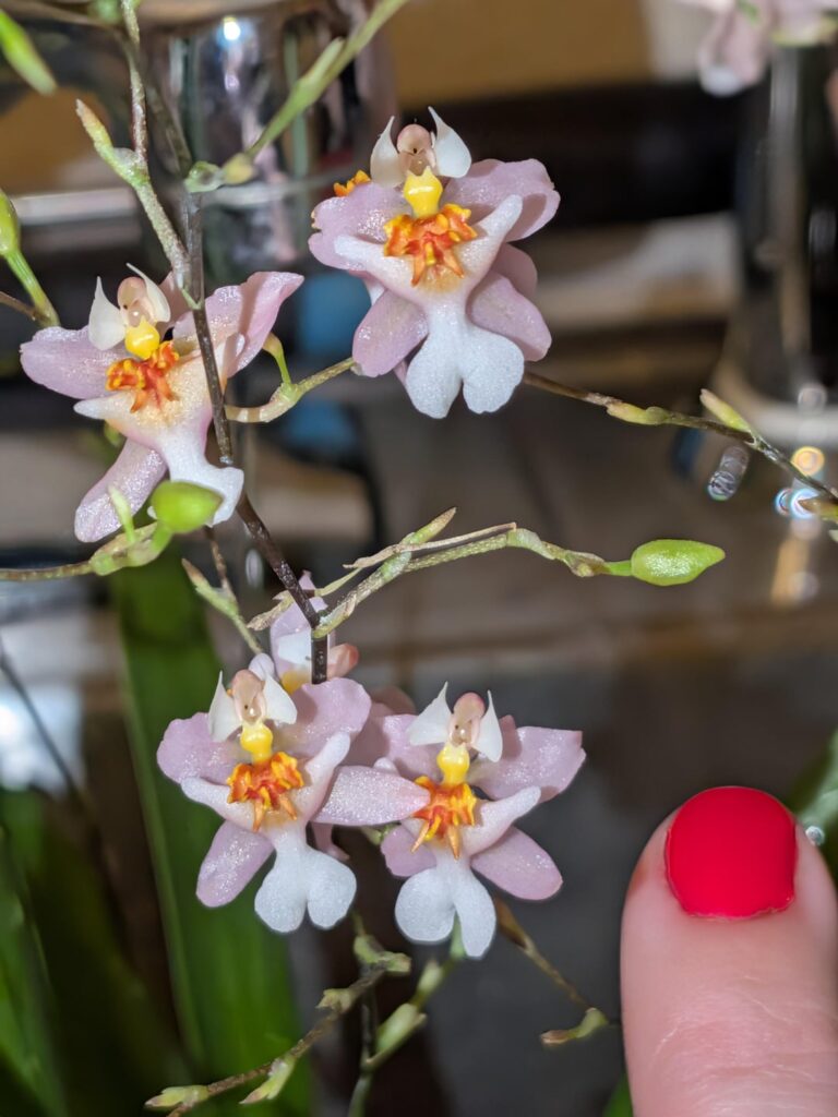 Love this one so much