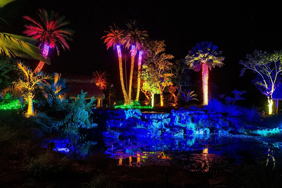 The Naples Botanical Garden will celebrate its 10th Night Lights in the Garden event from Nov. 29-Dec.23, 2019; Dec. 26-30, 2019;  and Jan. 1-5, 2020, from 6-9 p.m. each evening.