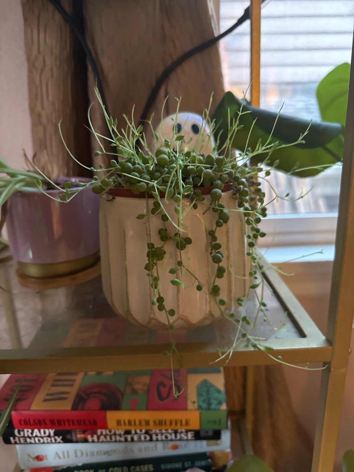 Awkward teenager phase