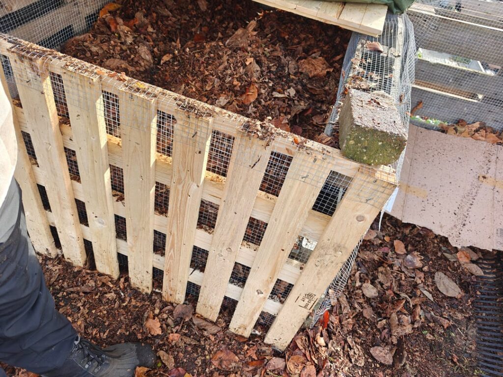 My leaf lile, finished compost and sifting process