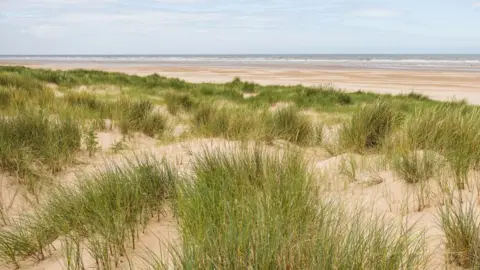 Getty Images Long green marram grass on sand dunes in front of the sea on a cloudy day.