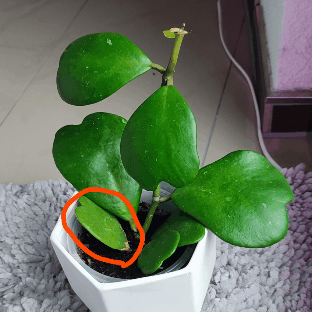 Thank you all for the encouragement and advice to be patient❤️!