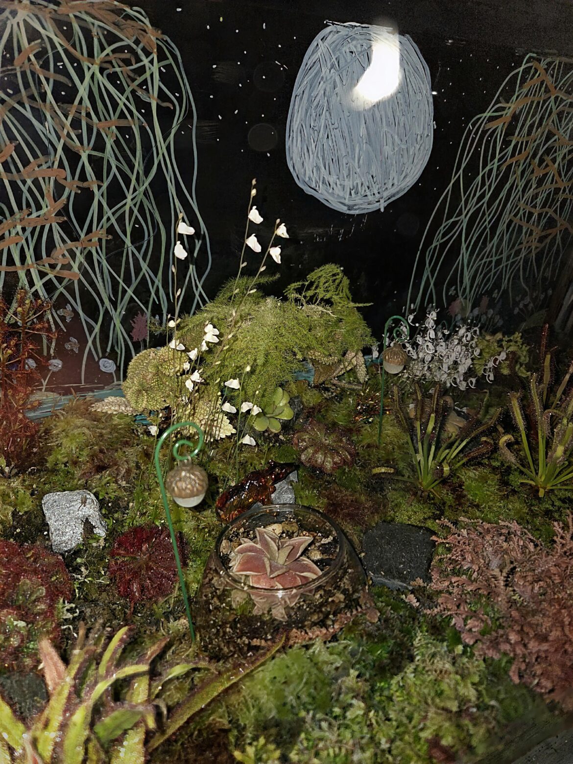 The Dew Crew After Hours