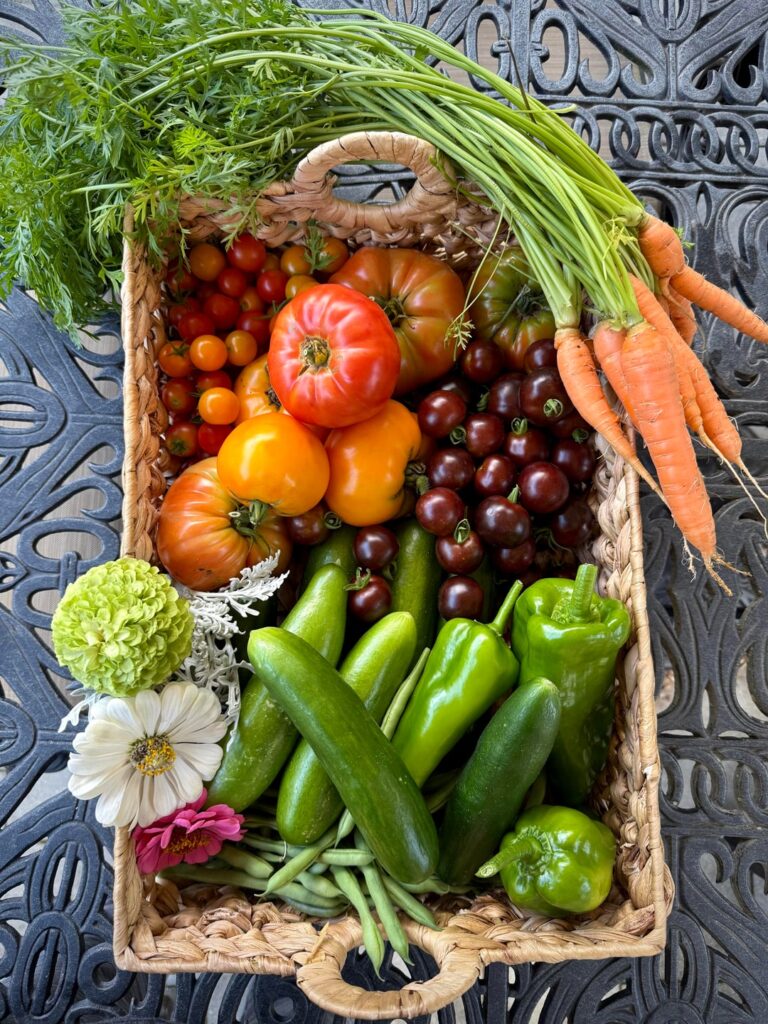 Sharing some pics from this summer to brighten a dreary, cloudy day. NJ, US, 7b