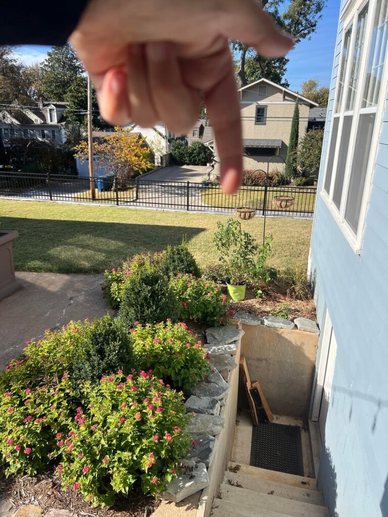 Someone gave me a rose bush, now what?