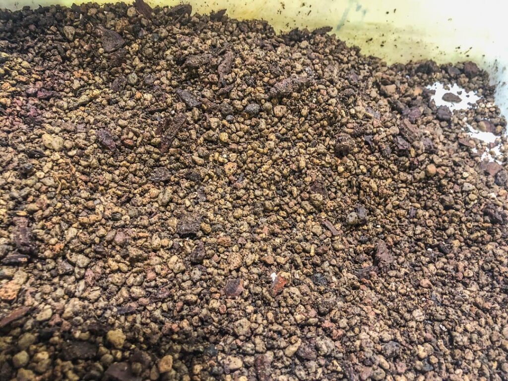 Is my potting mix ok? Is my potting mix ok?