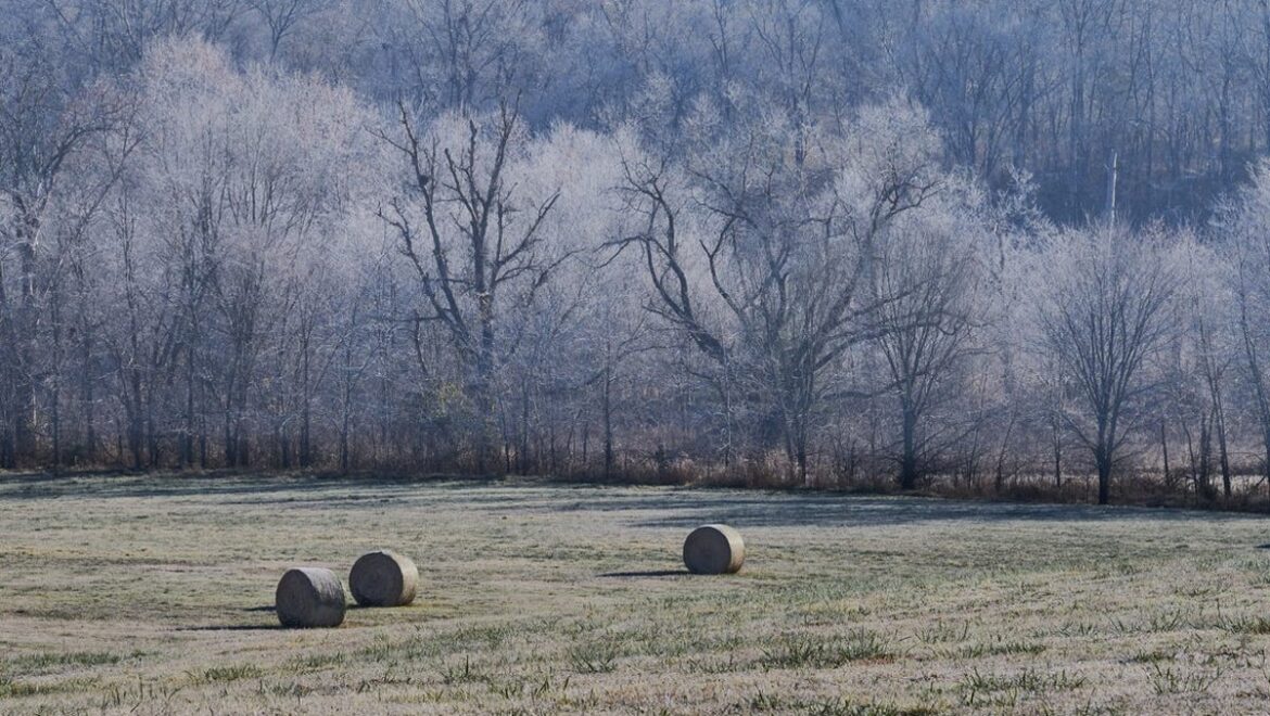 What River Valley gardeners should do now