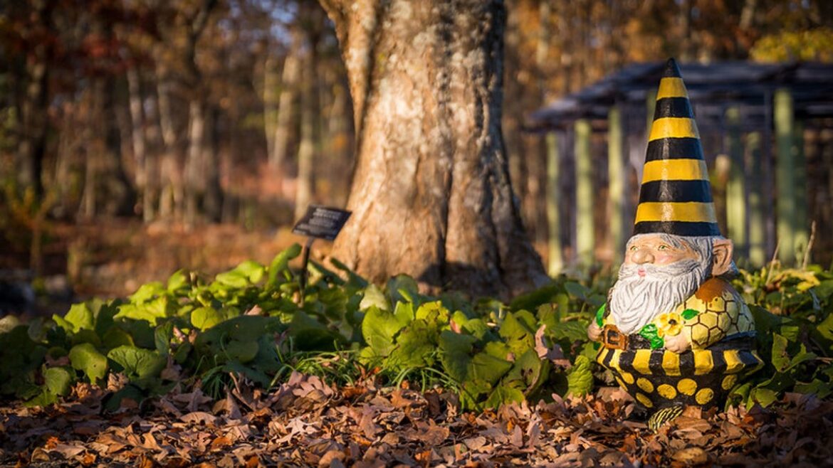 Finding garden ornaments that suit you best