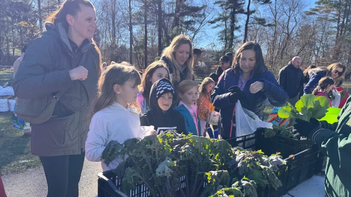 How Medway elementary students turned garden beds into a harvest day