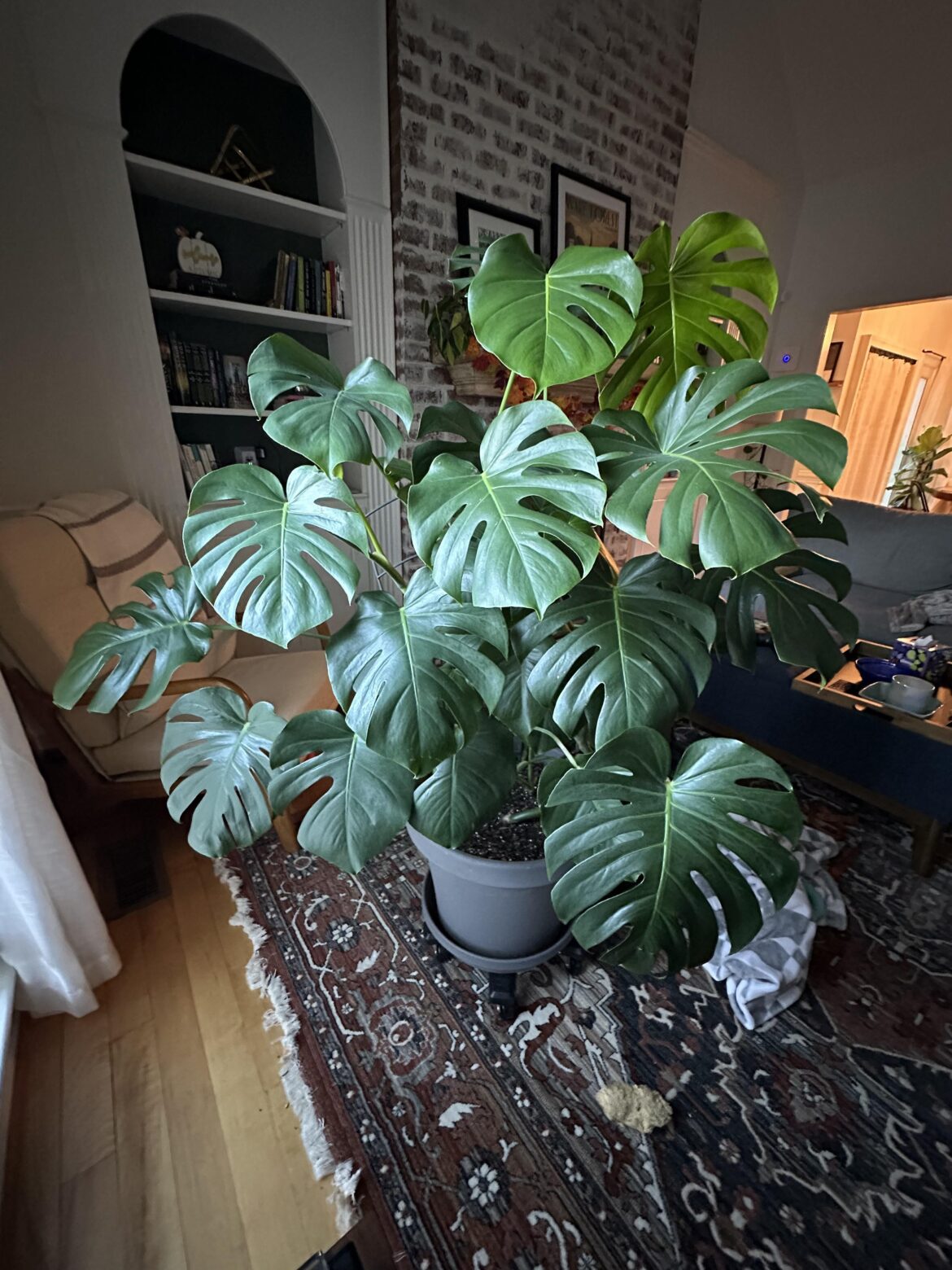 Just found y’all, here’s my contribution!