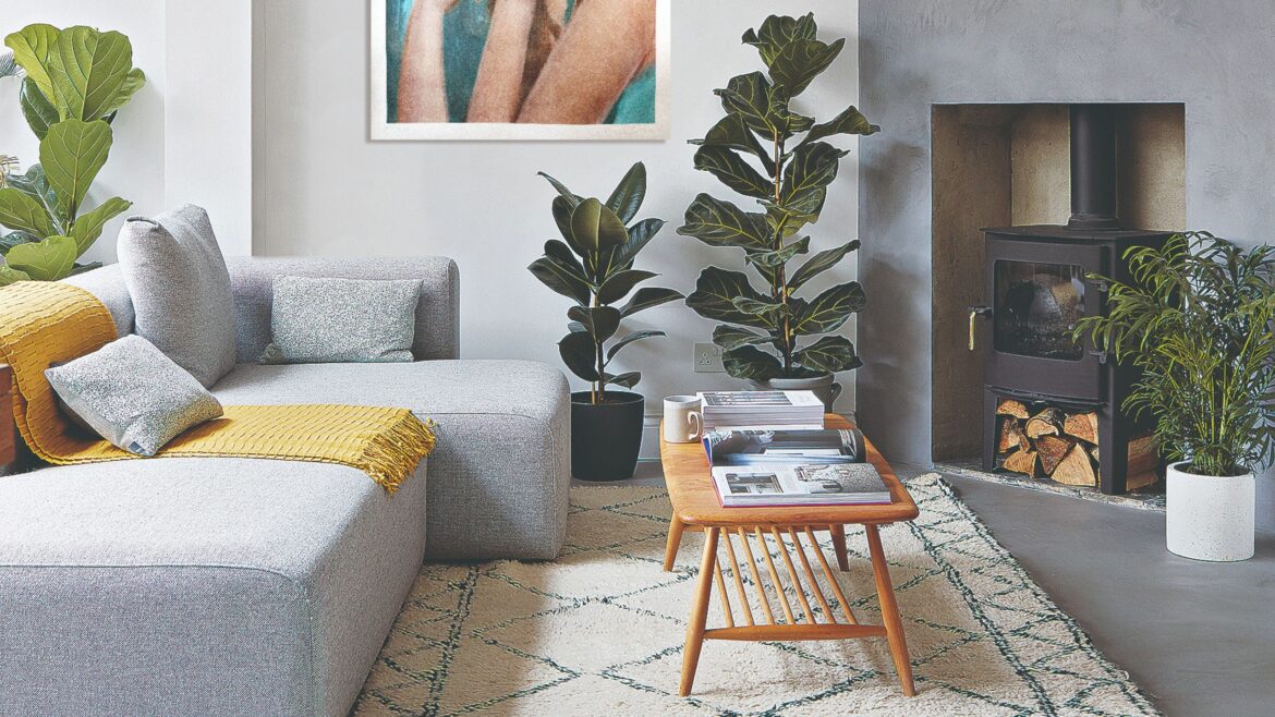 I Added These 4 ‘Unkillable’ Houseplants to My Home & They’re Amazing I Added These 4 ‘Unkillable’ Houseplants to My Home & They're Amazing