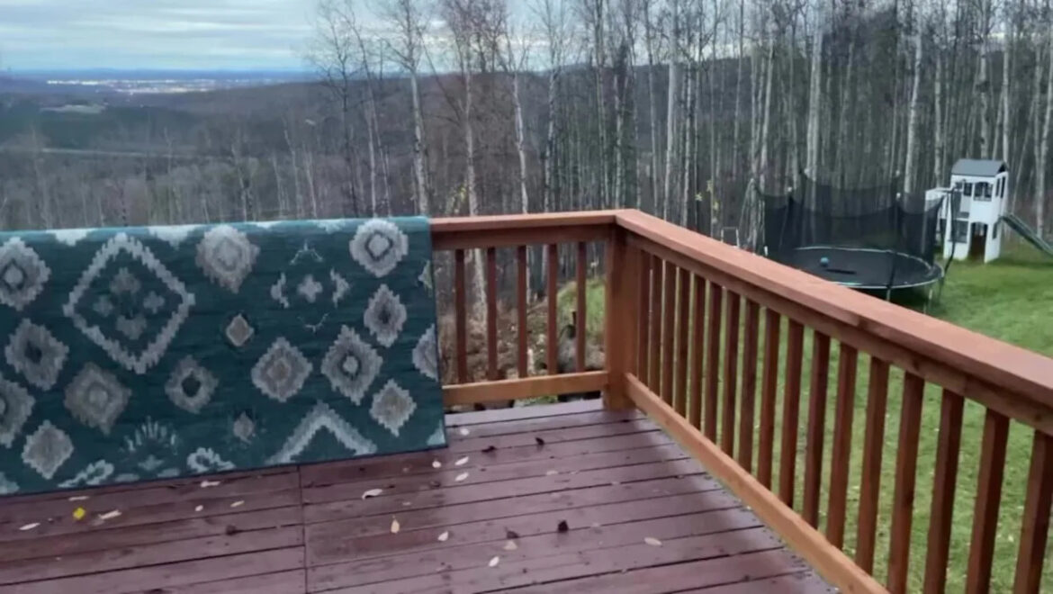 Homeowner captures stunning footage of massive creatures raiding garden: ‘Turn on your sound’ Yahoo news home