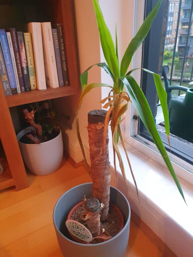 What's going on here?