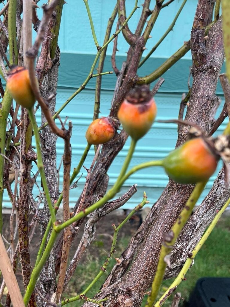 The wonder of autumn