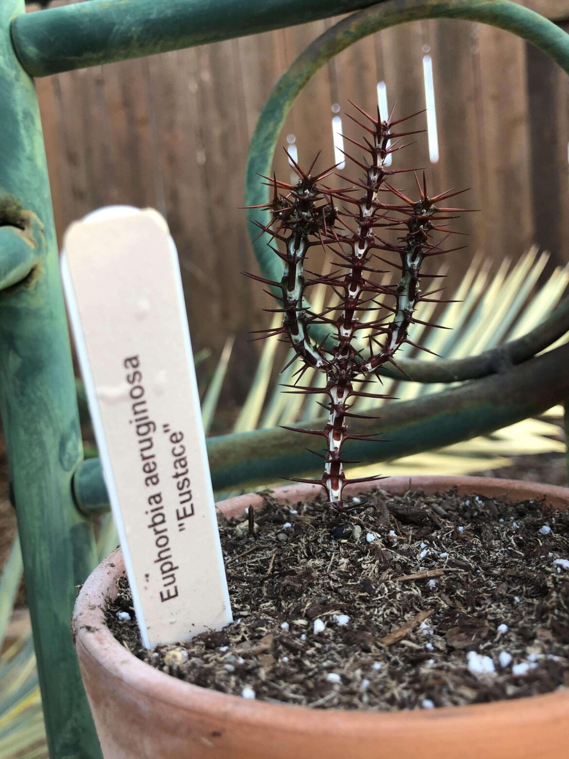 I was told you guys would like this 😬