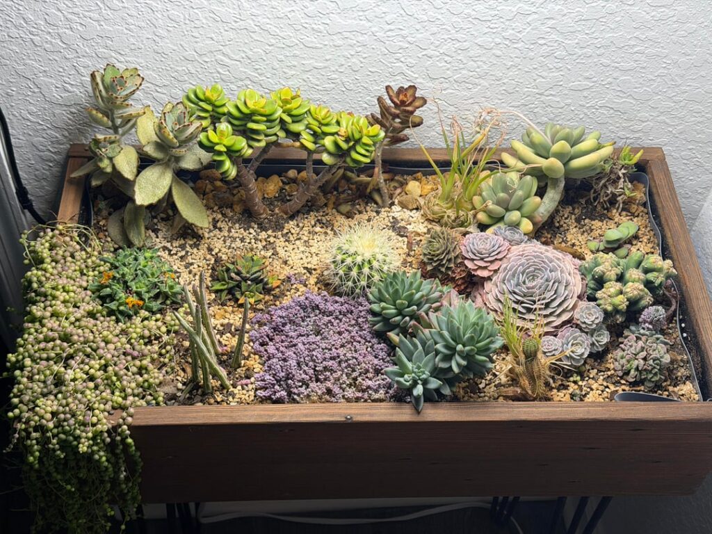 18 Month Garden Progress. She’s flourishing for the most part, but I have questions! 18 Month Garden Progress. She's flourishing for the most part, but I have questions!