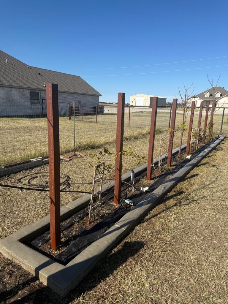 Little concrete border action for my trellis build
