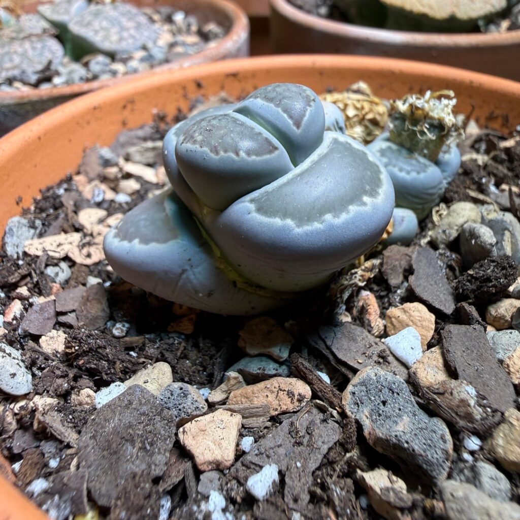 Need advice on what to do (if anything)