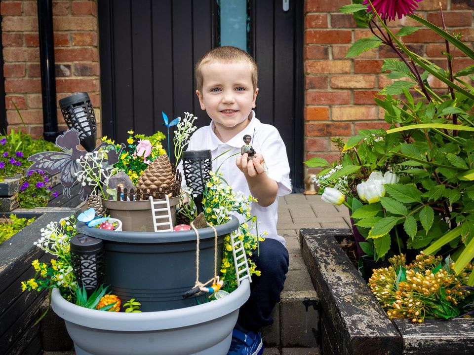 Peter Harding Downes from Wicklow, whose enchanting “fairy garden” captured the judges’ hearts.