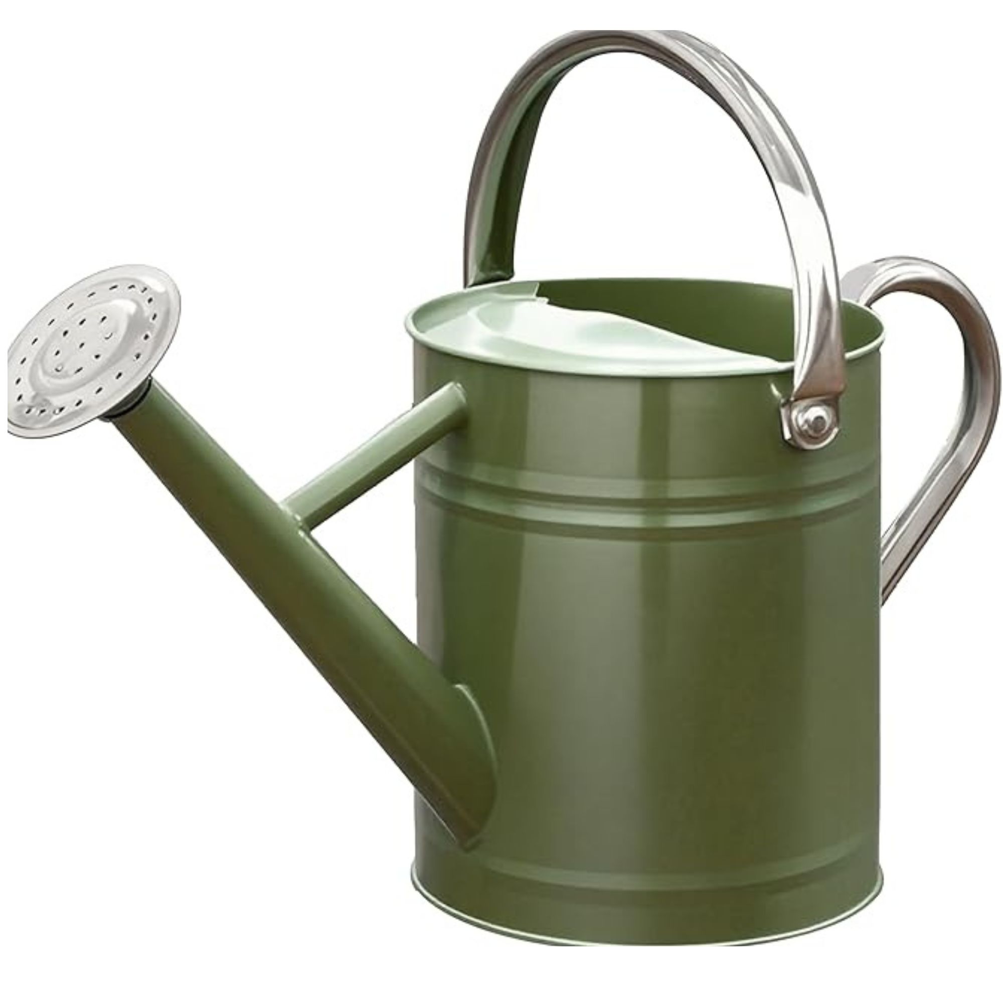 Metal Watering Can, One Gallon Watering Cans Stainless Steel (Emerald Green)