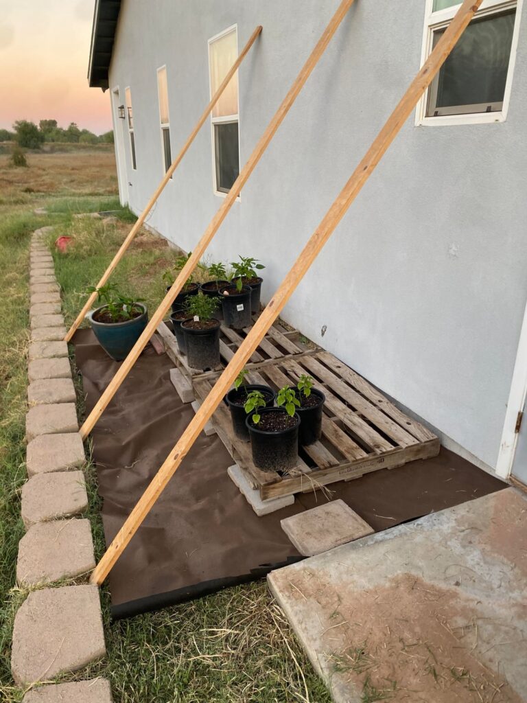 First greenhouse build