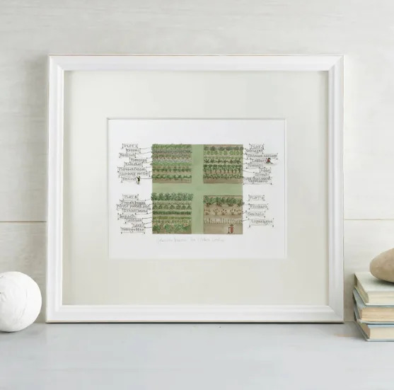 Country Living Marketplace