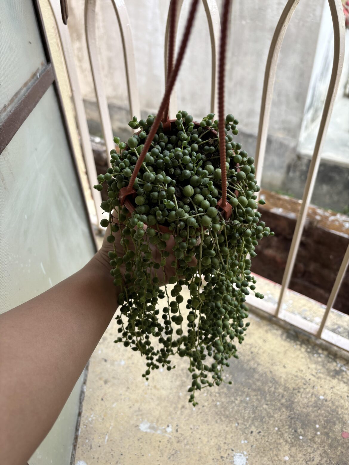 was this a good buy?