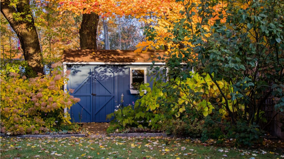 How to stop pests overwintering in your shed: 5 methods Garden shed in fall