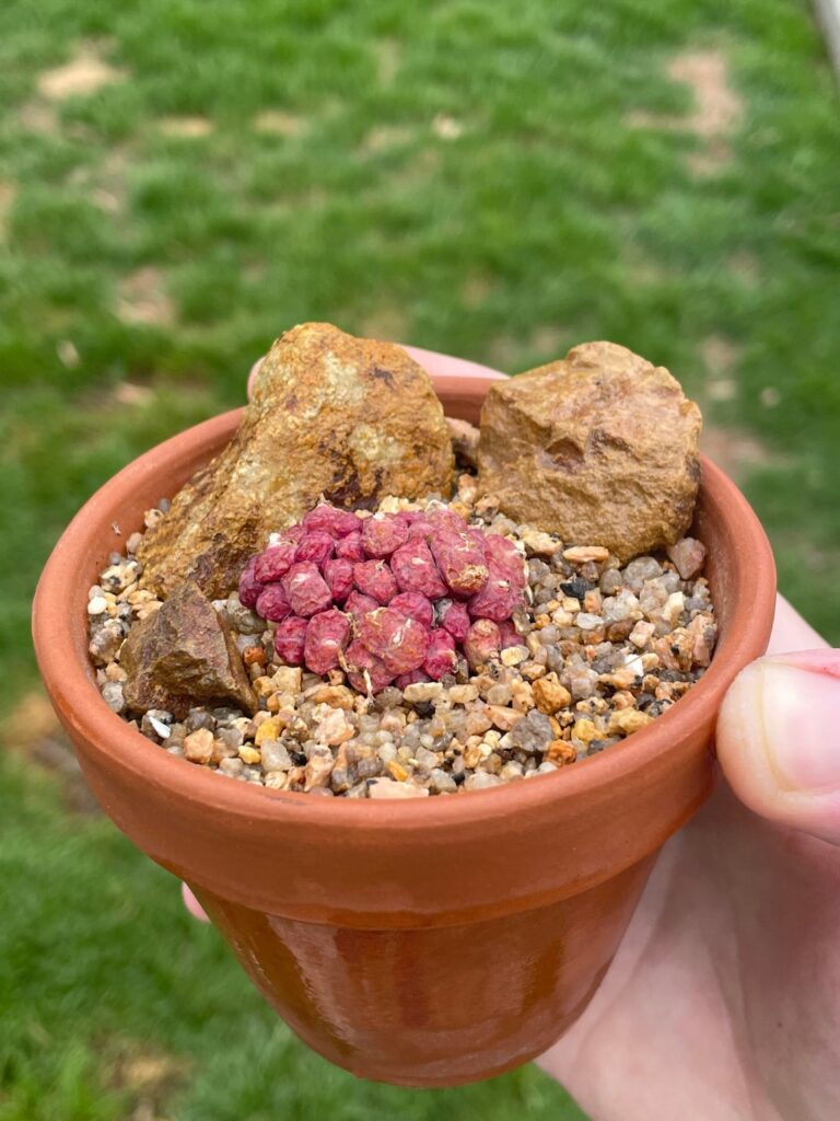 Insane stress colours!