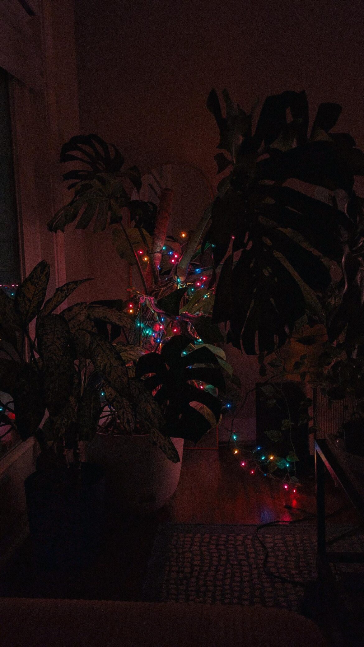 After lots of unexpected car issues and bills to go along with them, introducing my 2025 Christmas tree