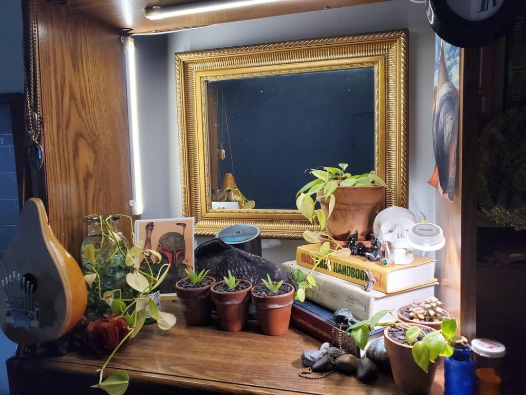 Why are my Heartleaf Philodendrons loosing their color? Why are my Heartleaf Philodendrons loosing their color?