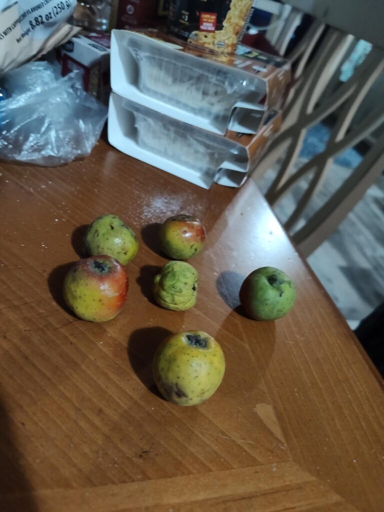 What is this fruit my wife got from a prominent international market?