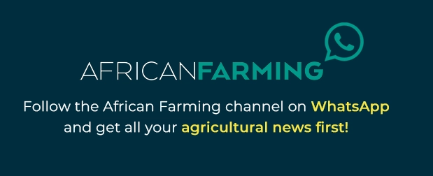 Meet The Judges Set To Join Shoprite’s Act For Change Food Garden Competition